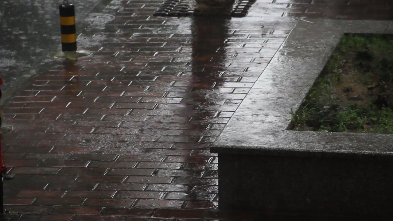 大雨中的小院