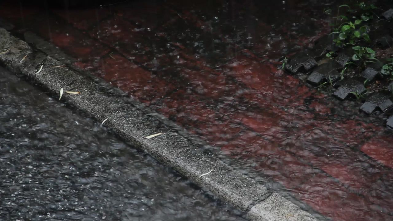 大雨中的小院流水2