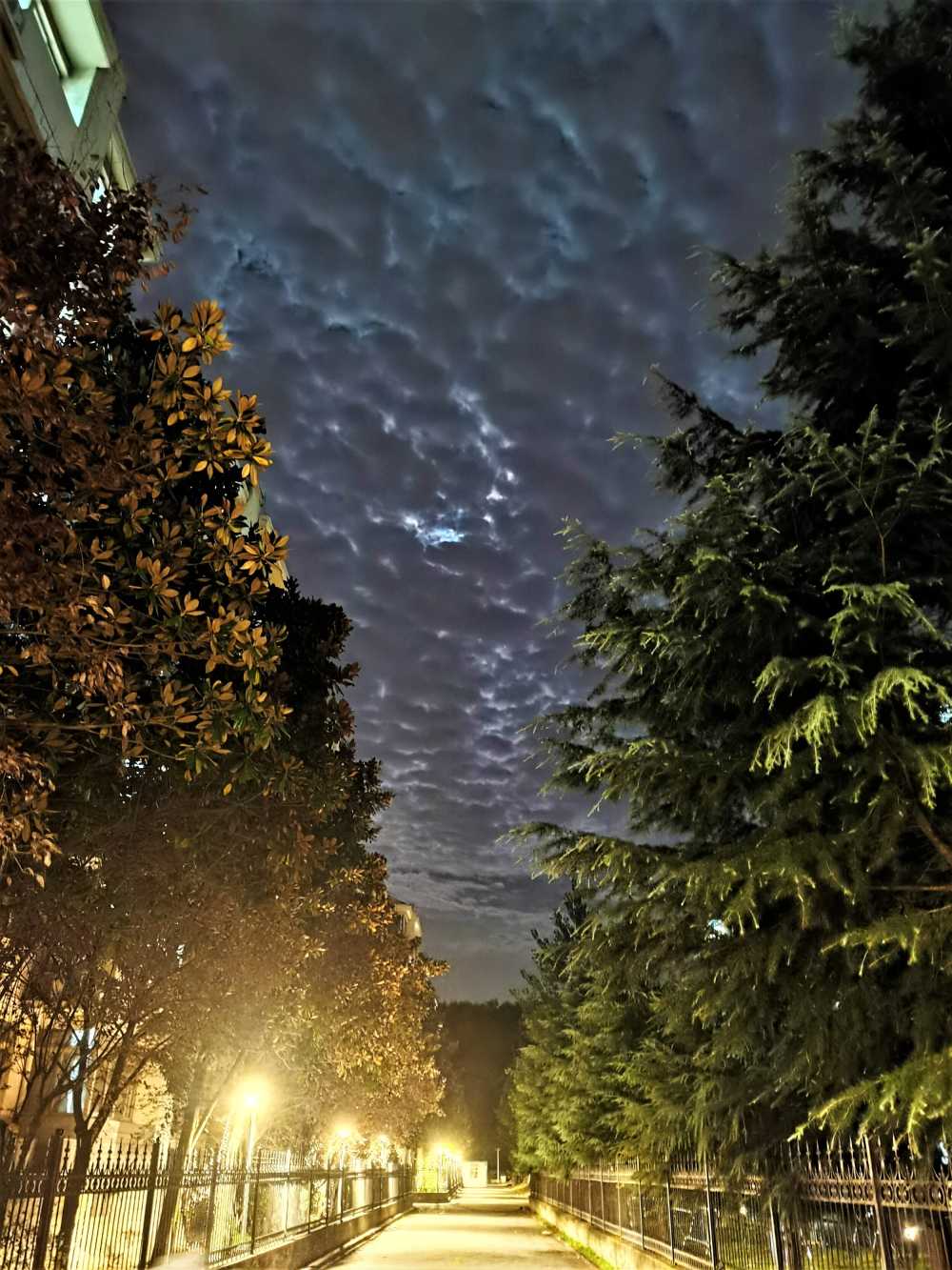 晚间小路