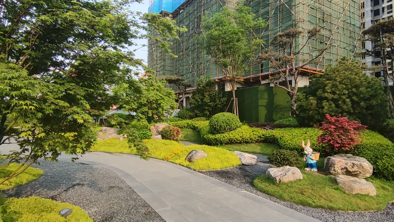 风景