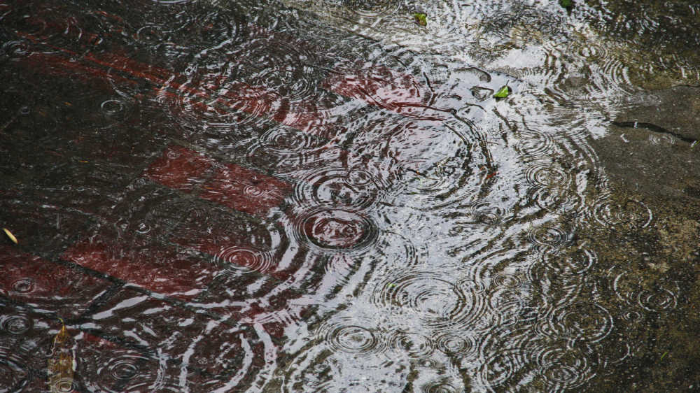 雨中涟漪映天光