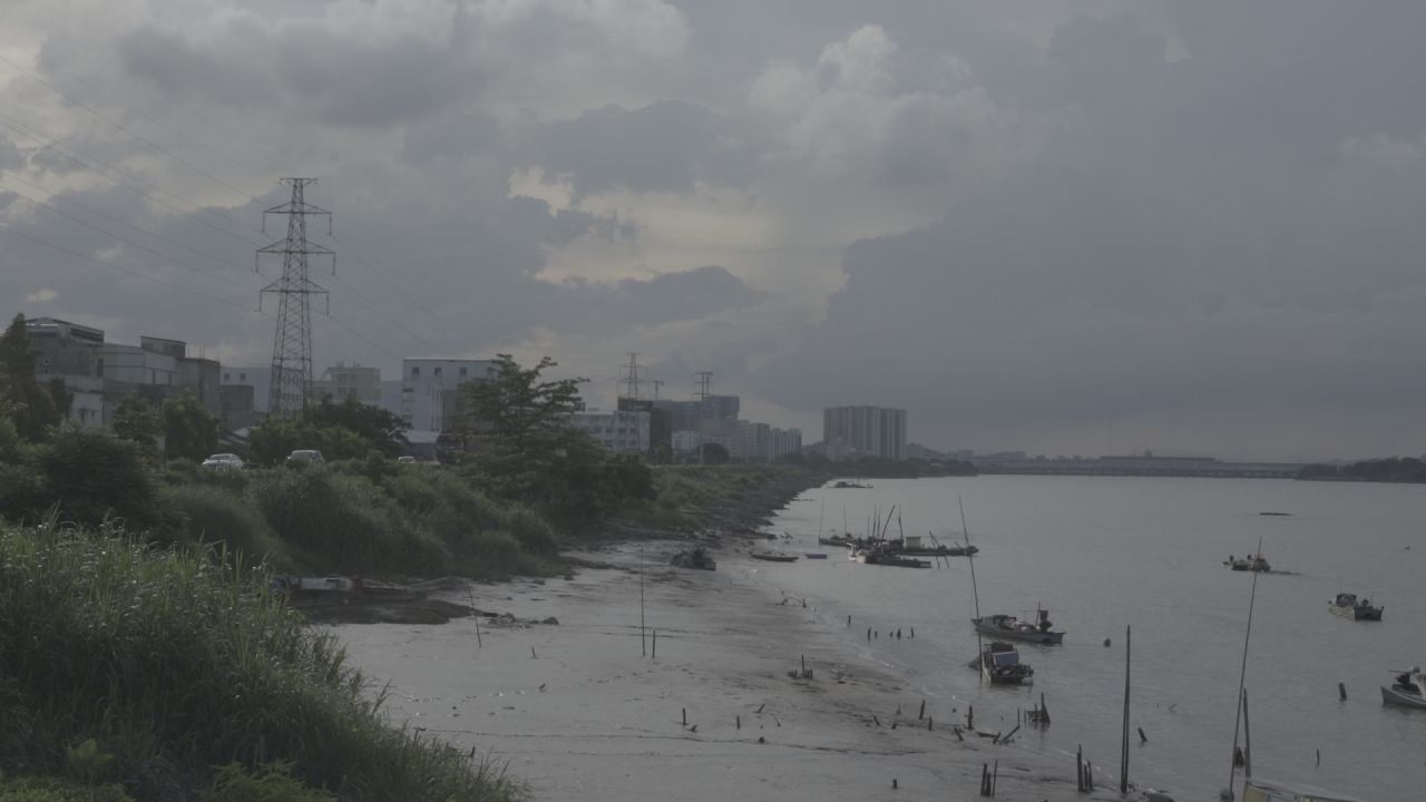 沙滩旁的小路
