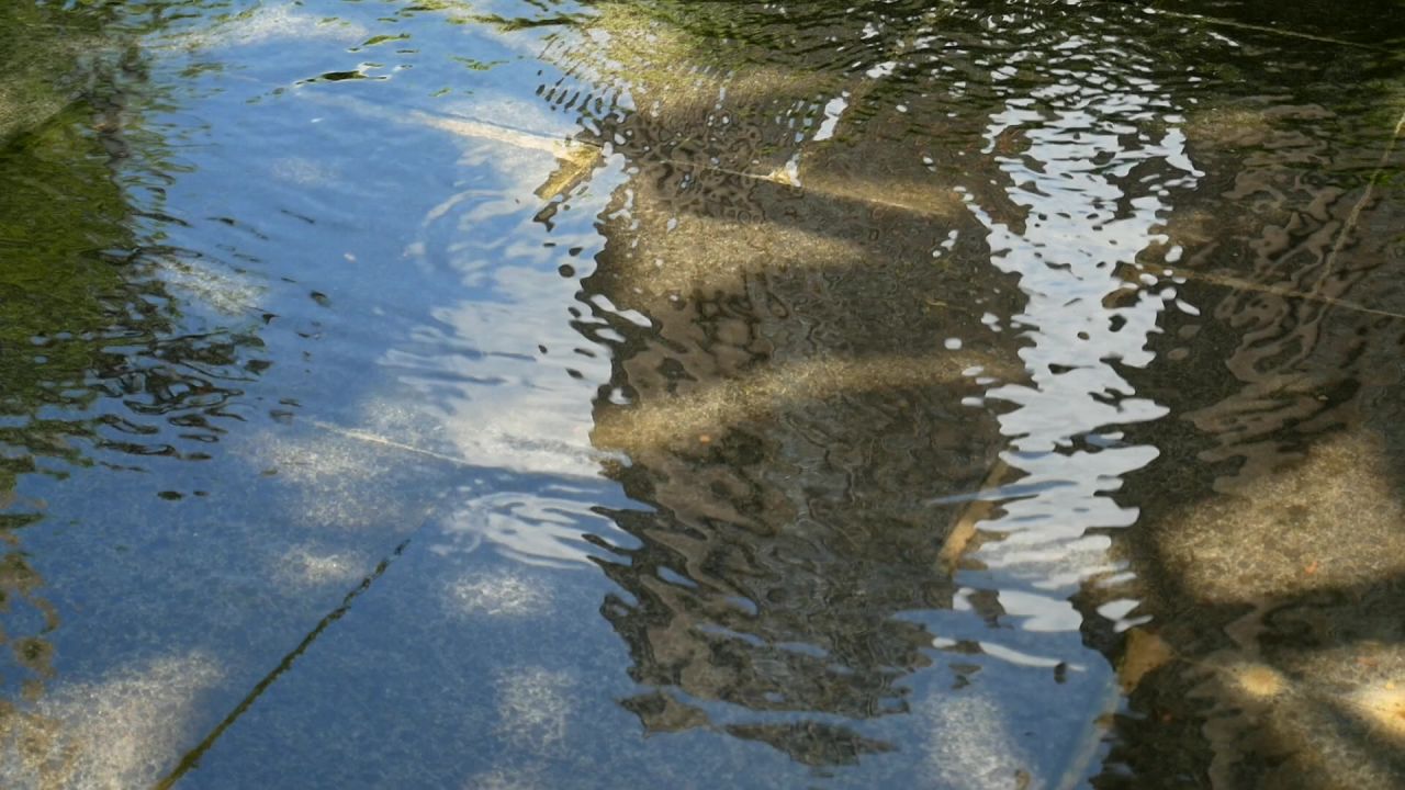 流水倒影