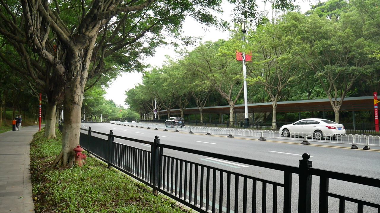 道路和经过的汽车