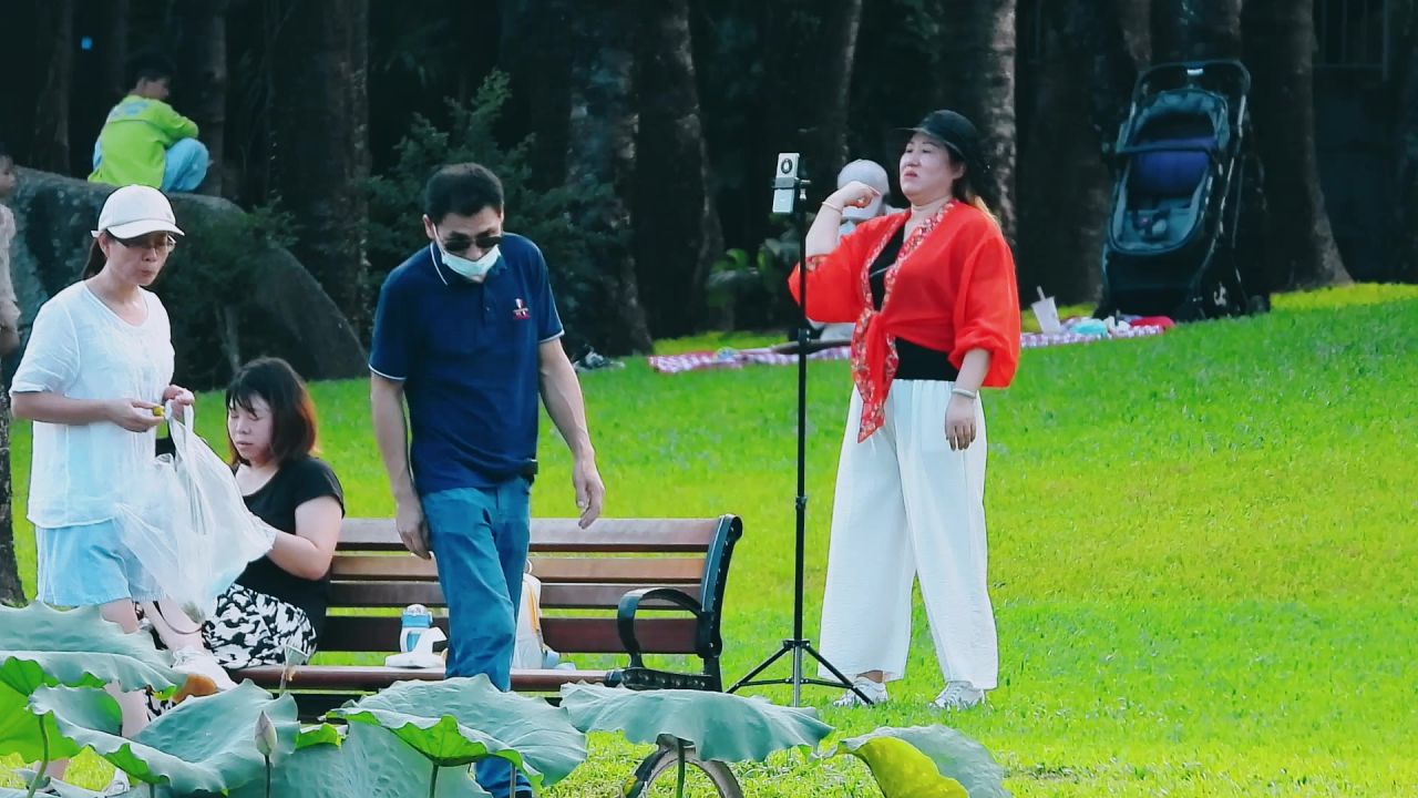 洪湖公园草坪