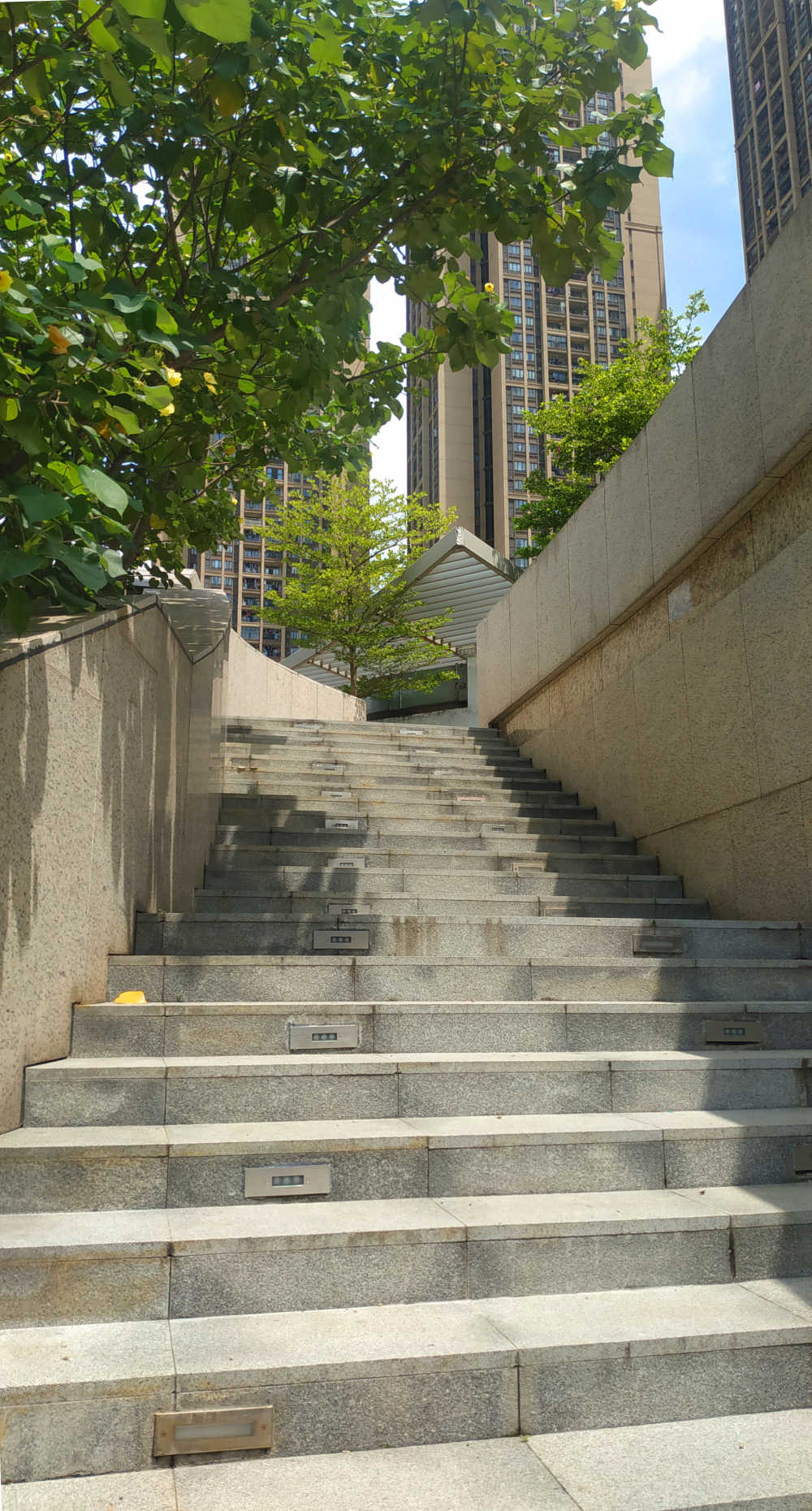 阳光下的石阶