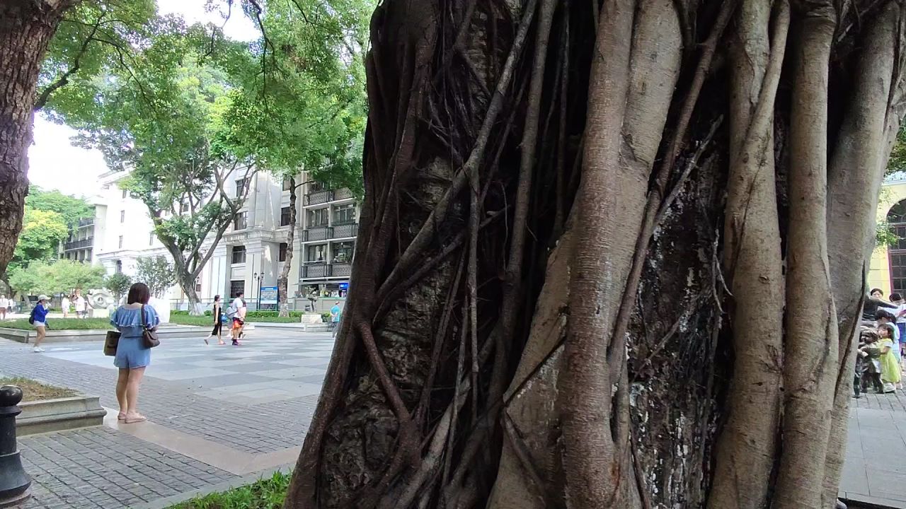 广州沙面粤海关
