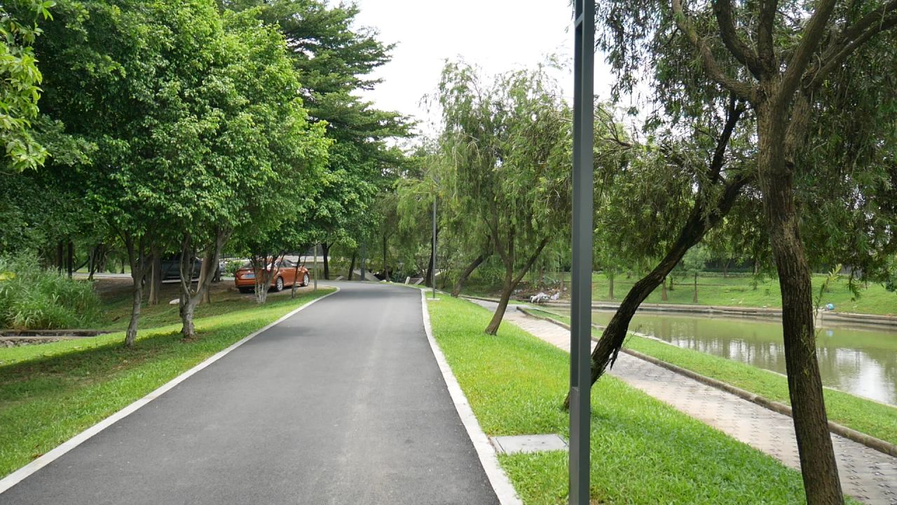 小河风景环顾
