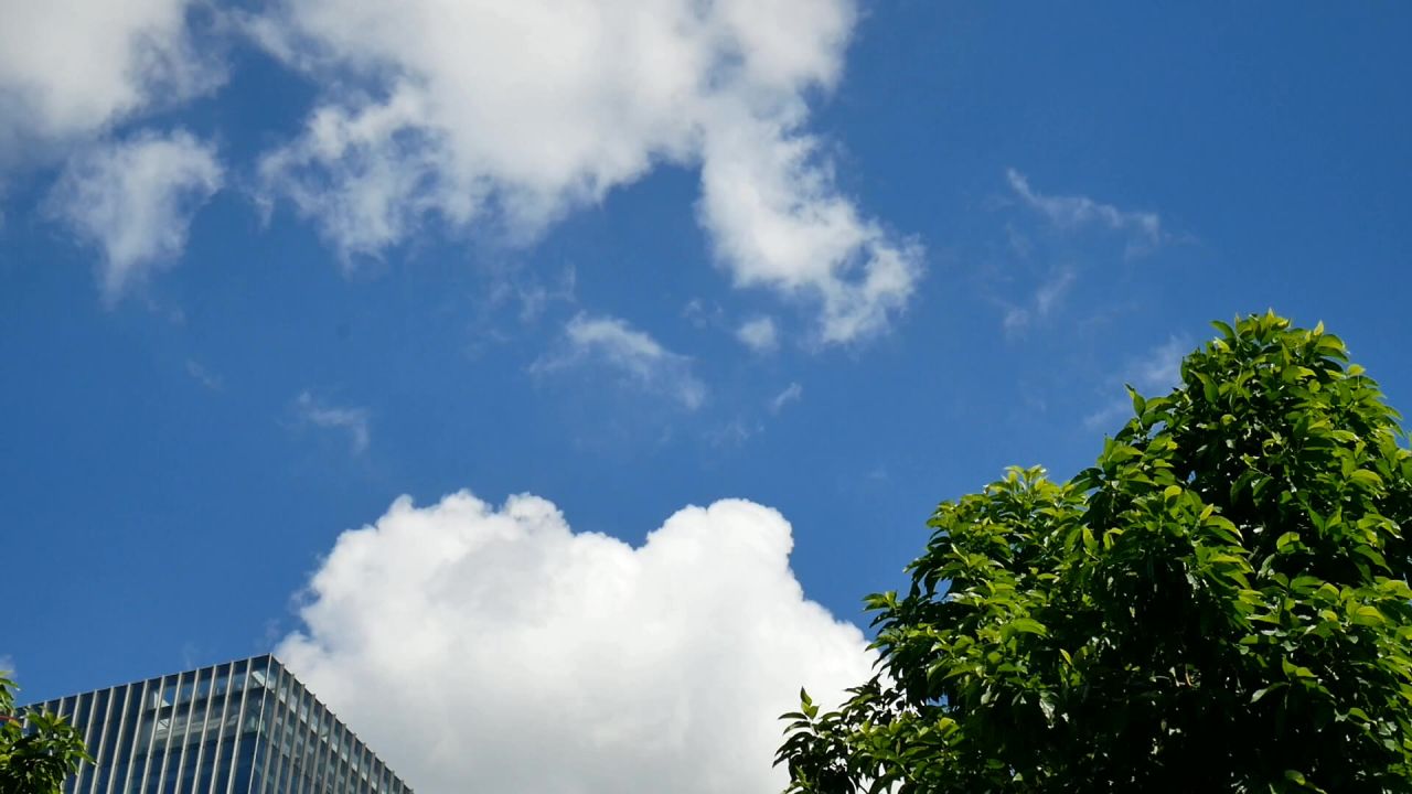 蓝天白云飘过楼顶和树顶(静音)
