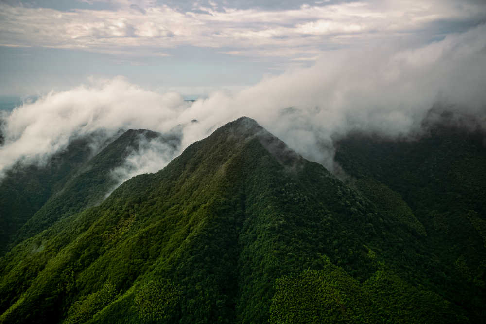 水墨汀溪雨后的山体平流雾