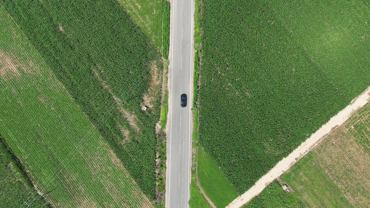 梦想大道