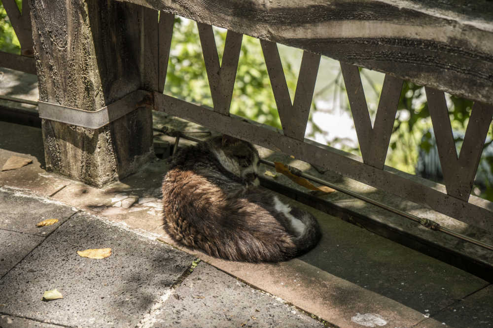 贵州之行