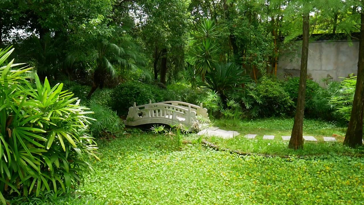 岭南小桥庭院