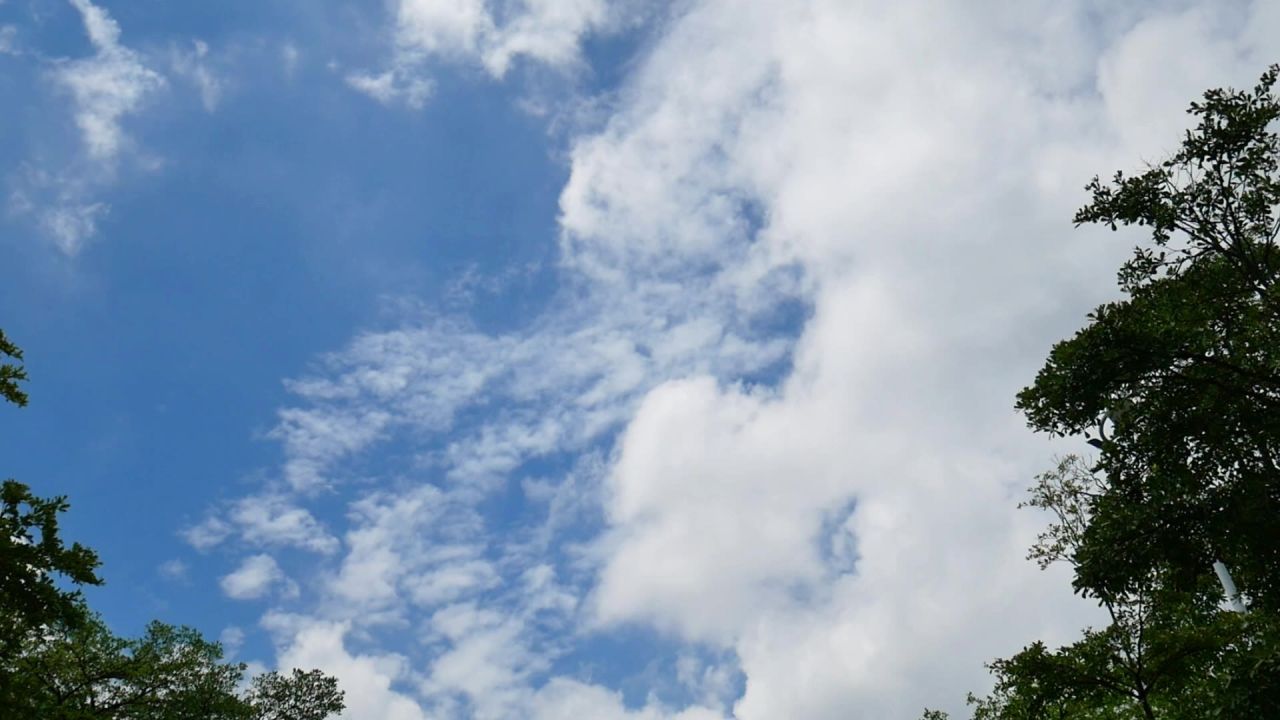 公园的天空