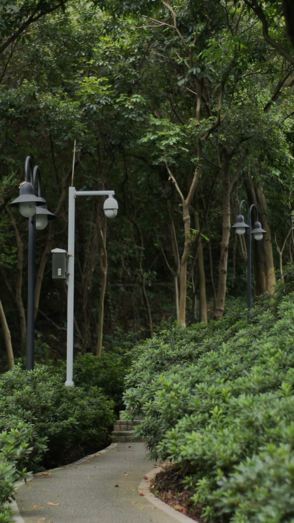 麓湖公园鸿皓楼的登山路