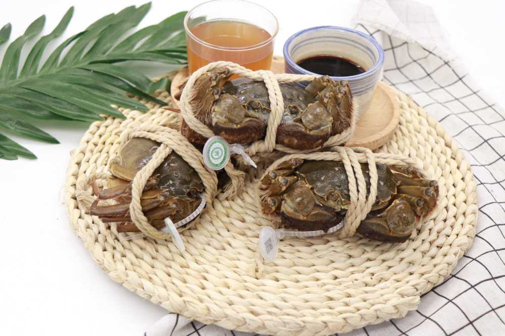 高清阳澄湖大闸蟹