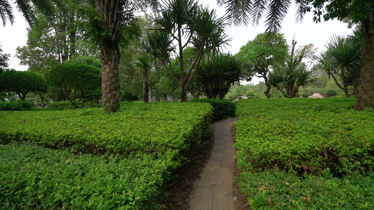 公园里疯风景一角