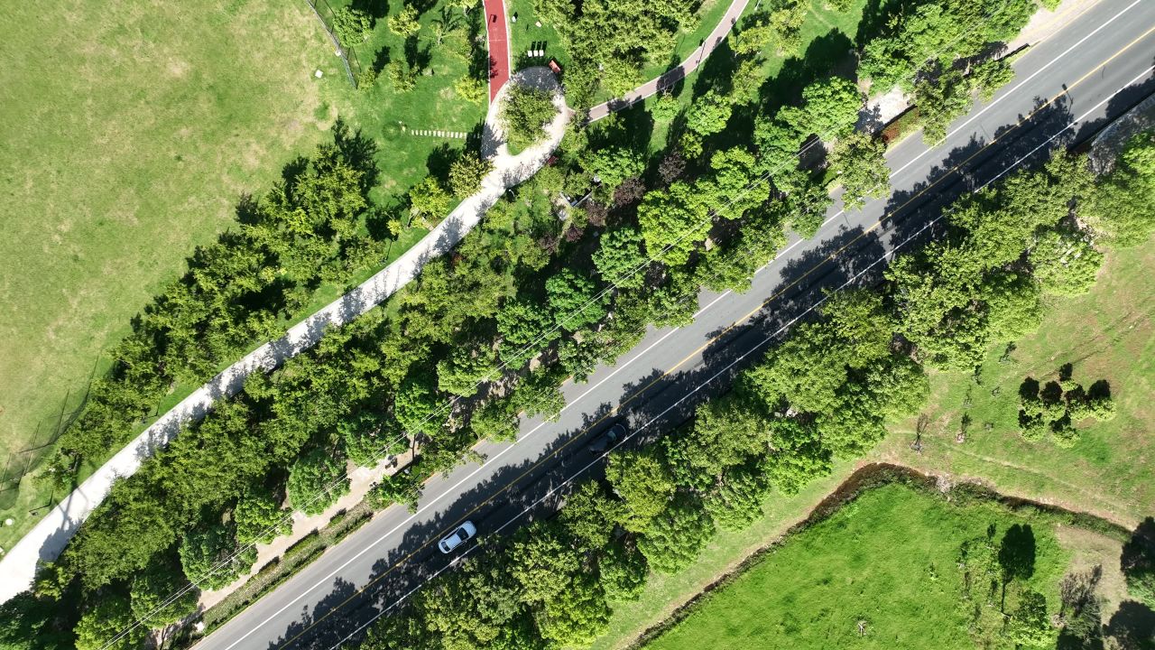 乡村景观道路