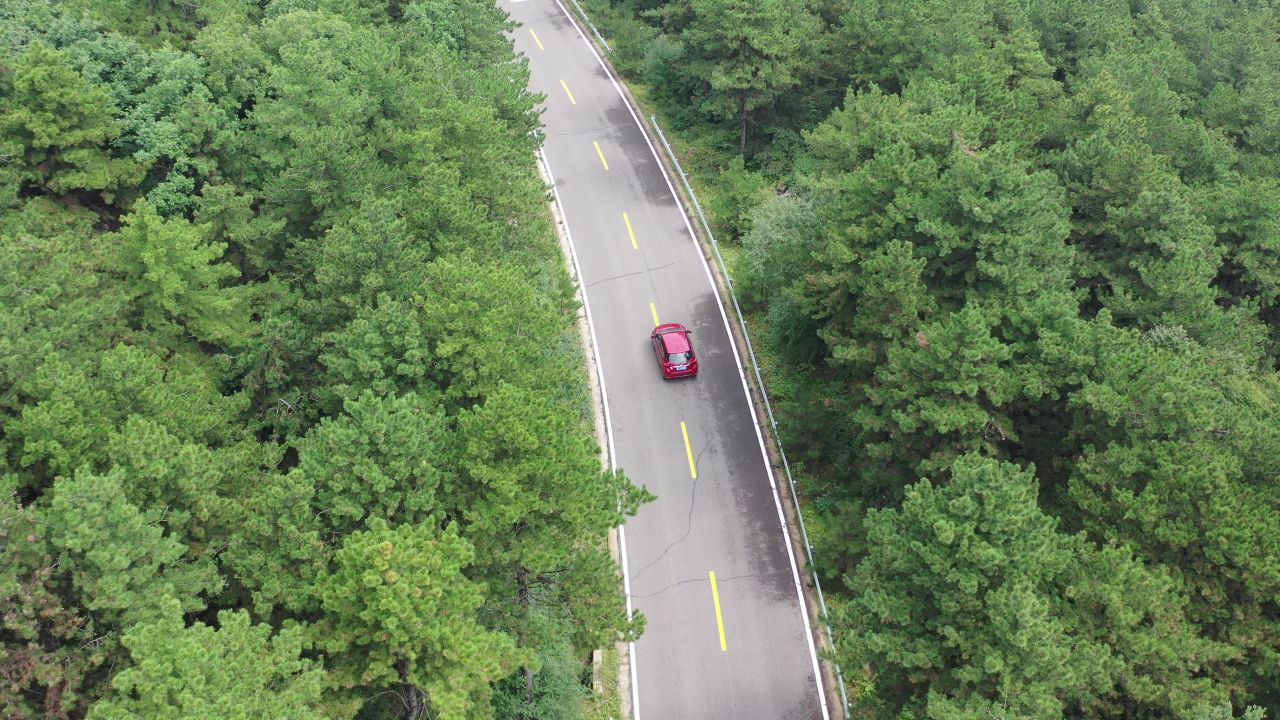 森林公路
