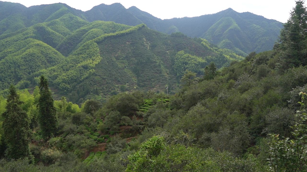 重山峻岭