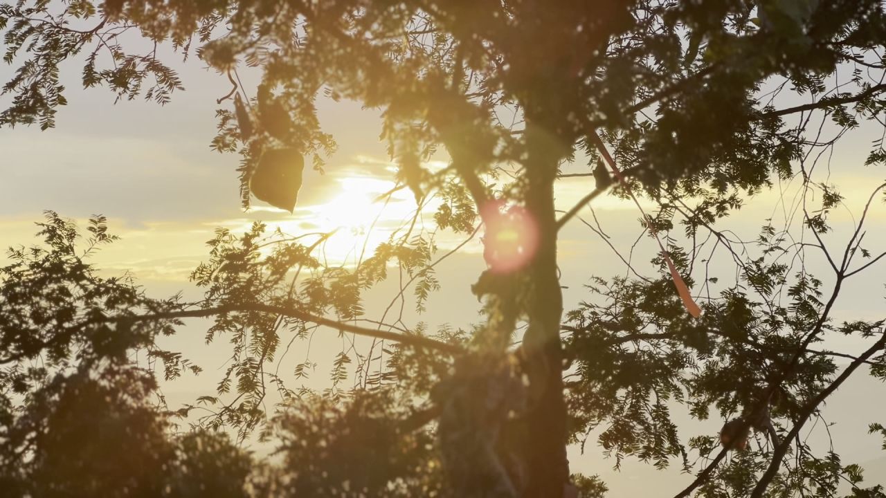 山上的日出
