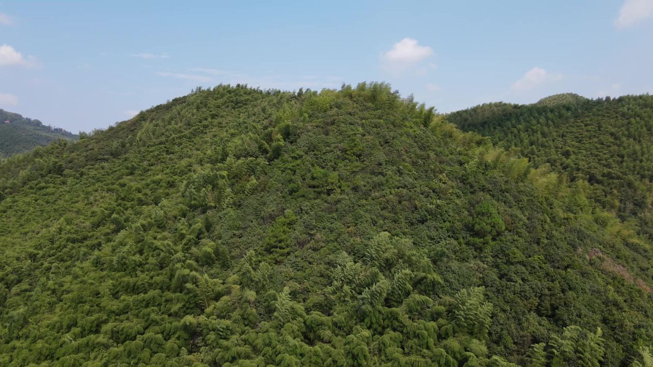 莫干山航拍