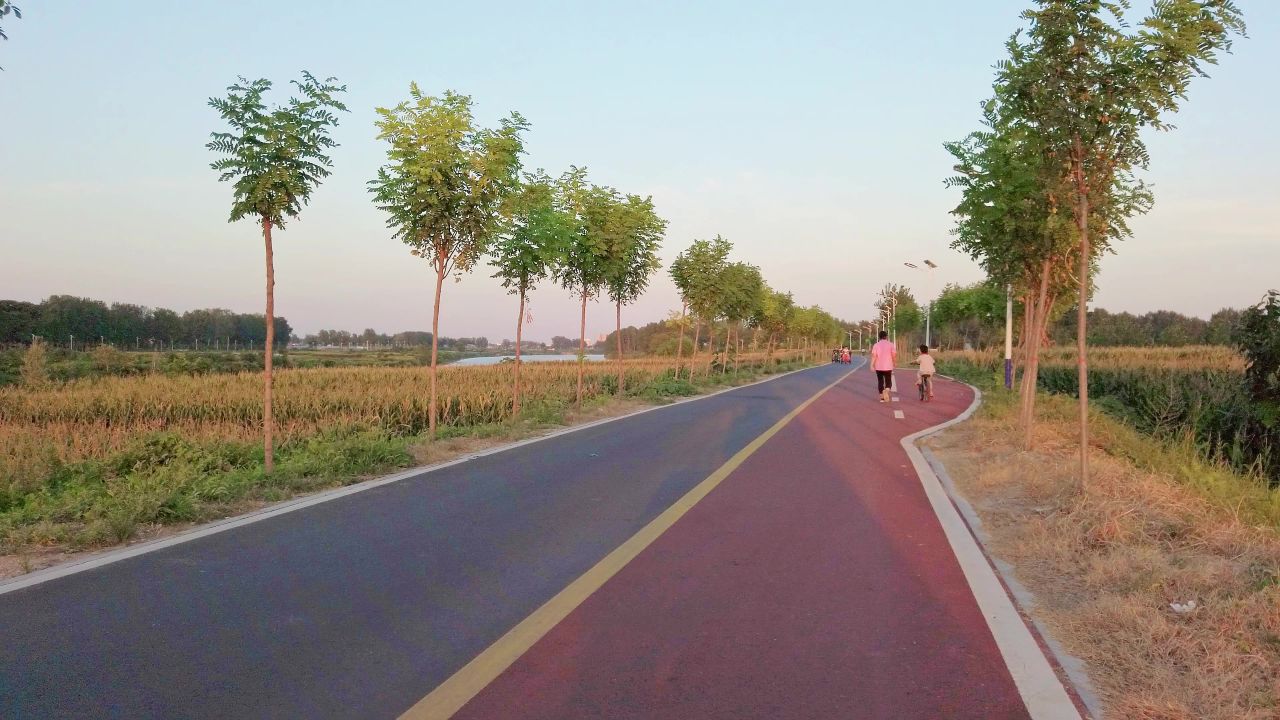 傍晚夕阳下的晨牌