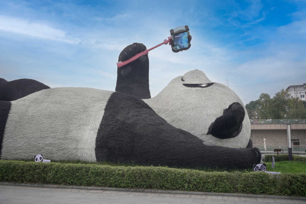 自拍熊猫
