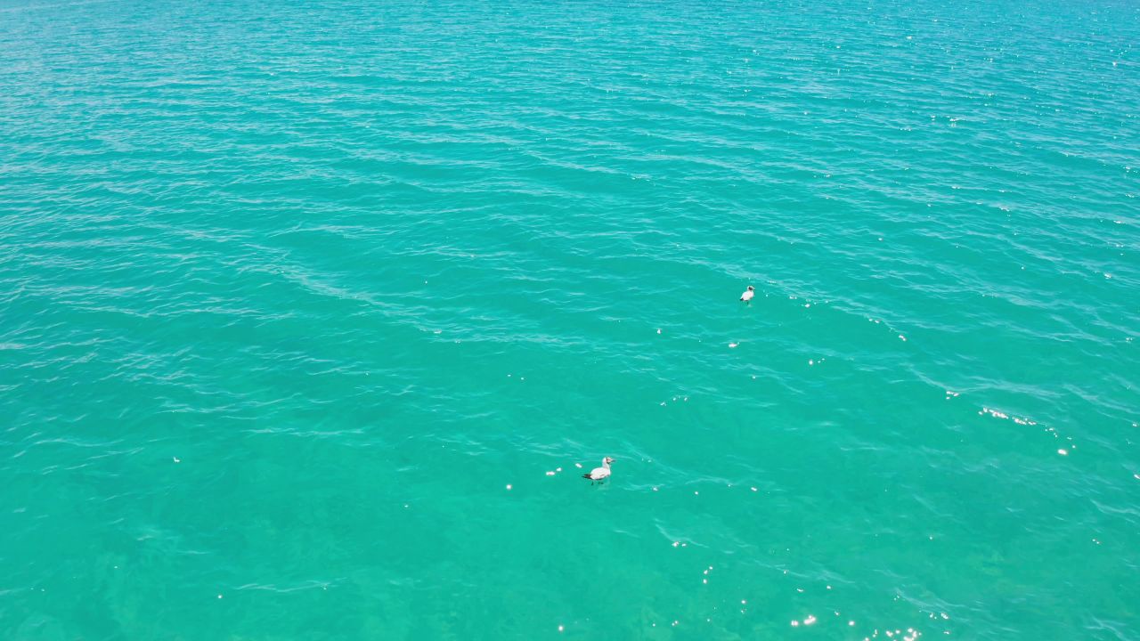 航拍夏天的西藏纳木错湖风光 4