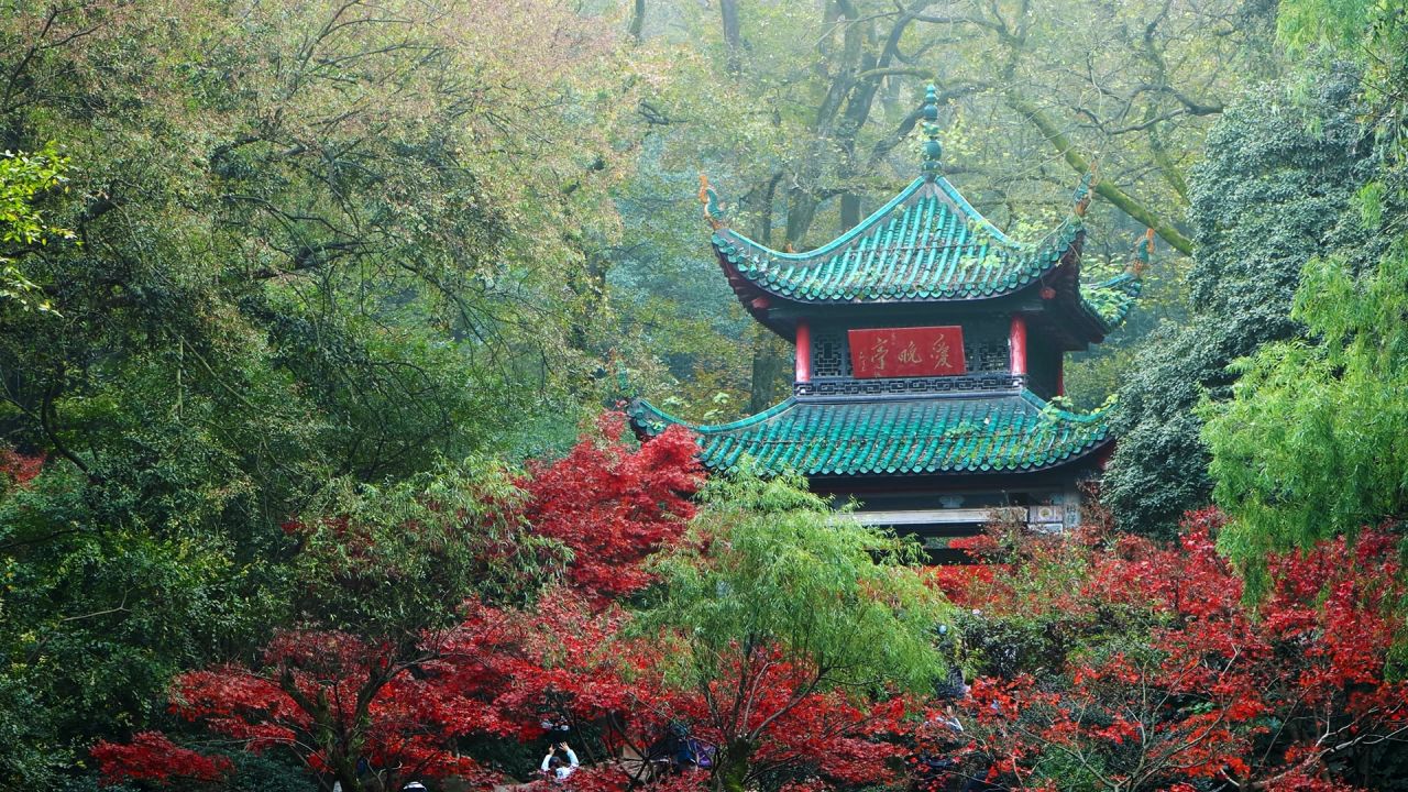 湖南长沙爱晚亭秋景枫叶实拍