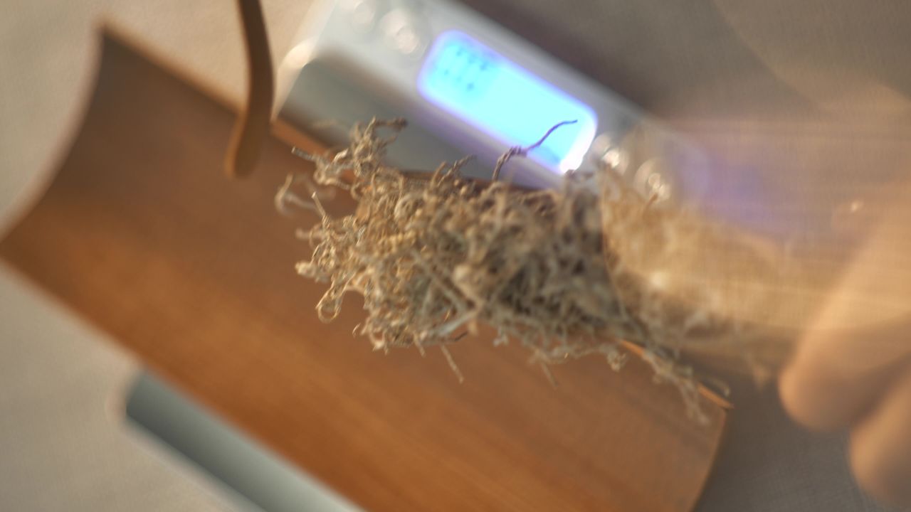 霉茶