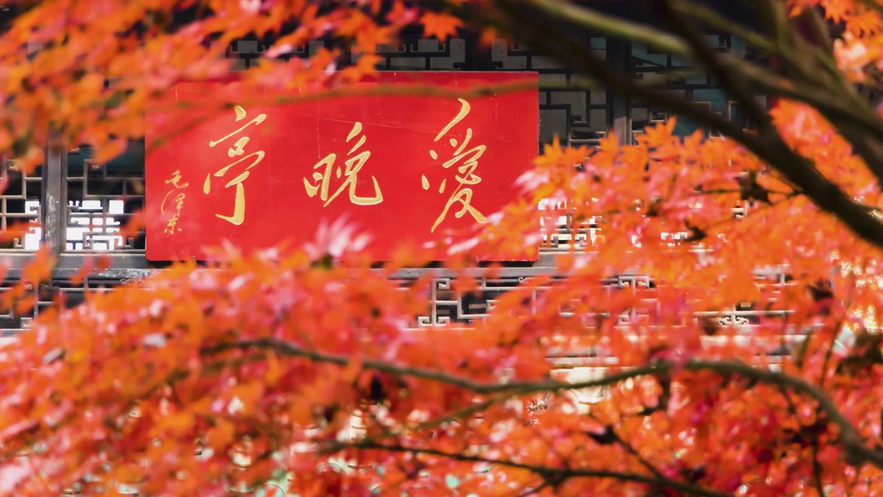 湖南长沙岳麓山爱晚亭枫叶秋景延时摄影