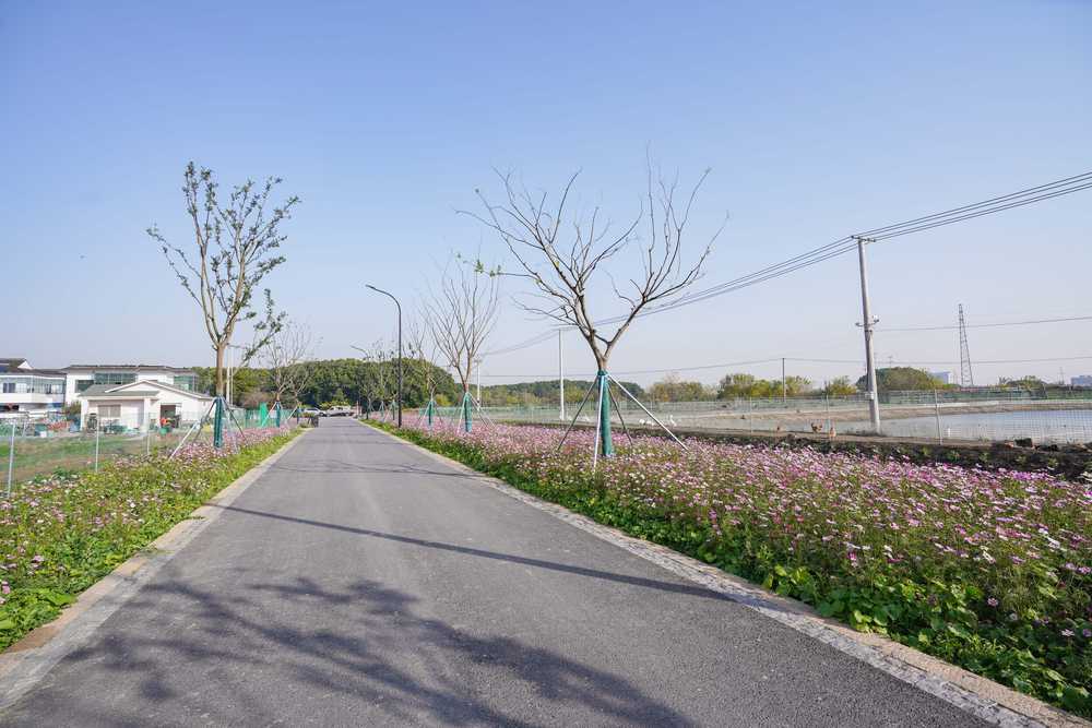 昆山横娄村