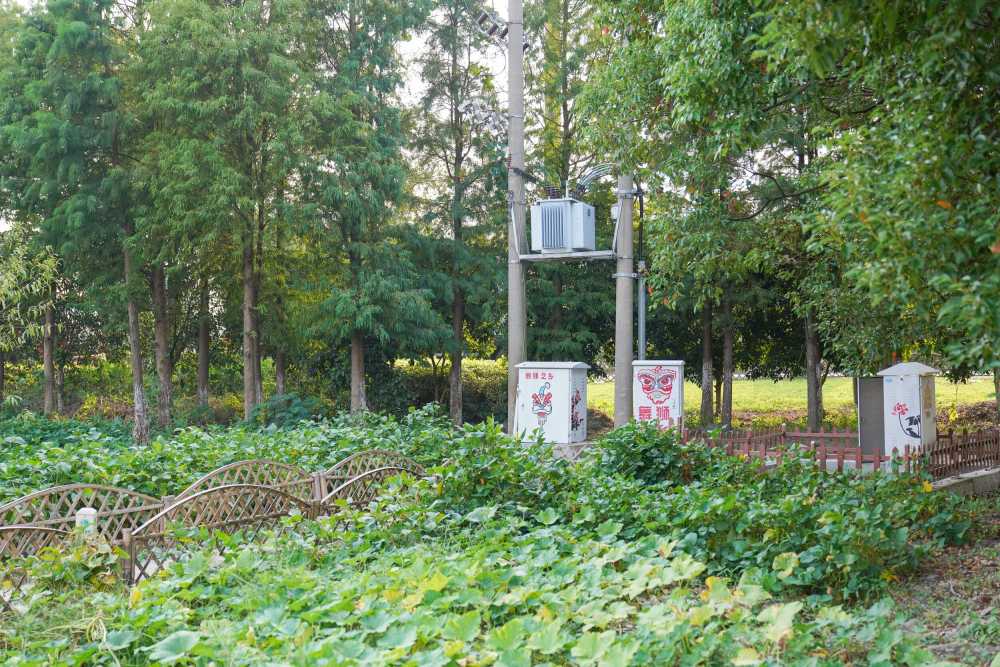 新农村风貌