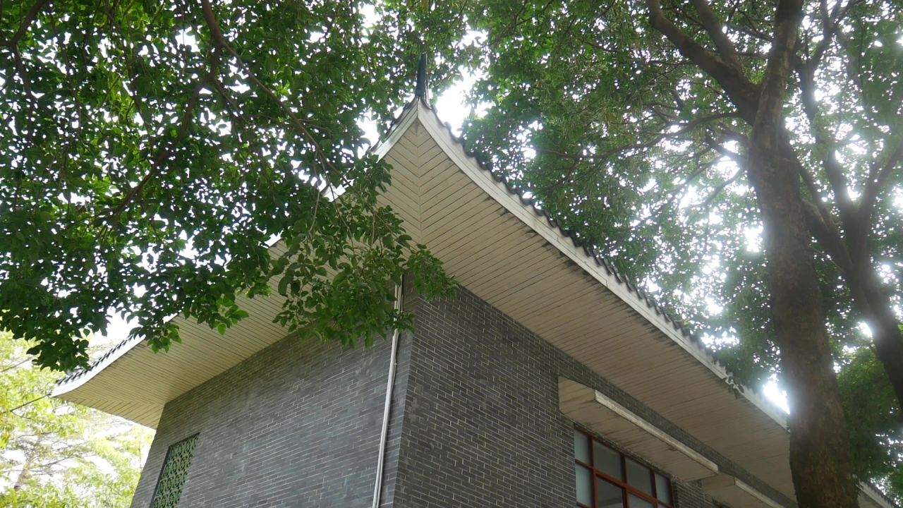 公园林中鸟语