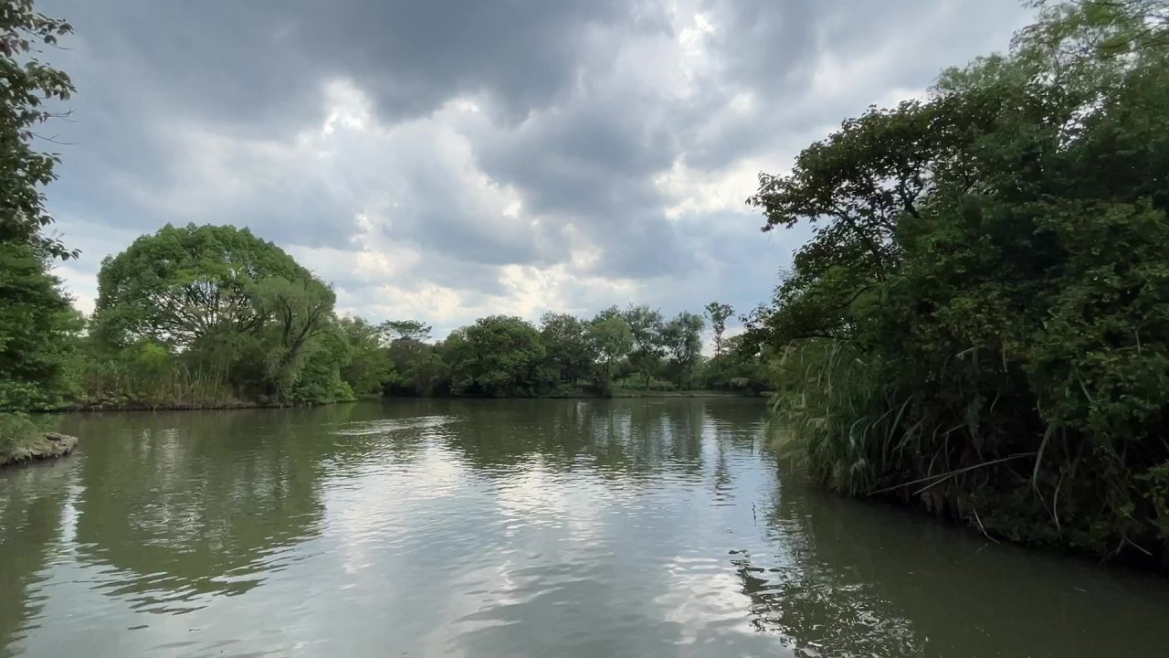 杭州西溪湿地
