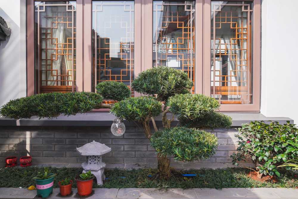 农房翻建美丽庭院