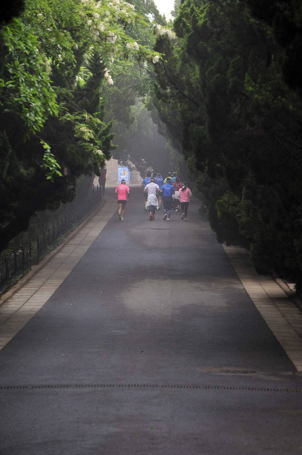 清晨的跑者