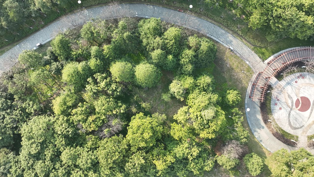 路边小景