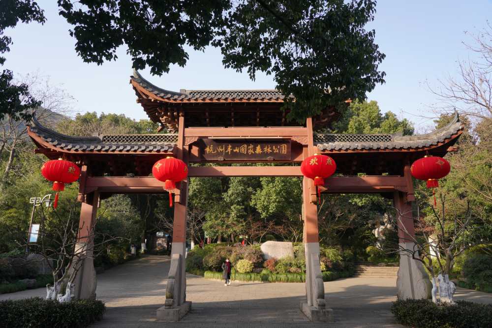 杭州半山森林公园夜景 9