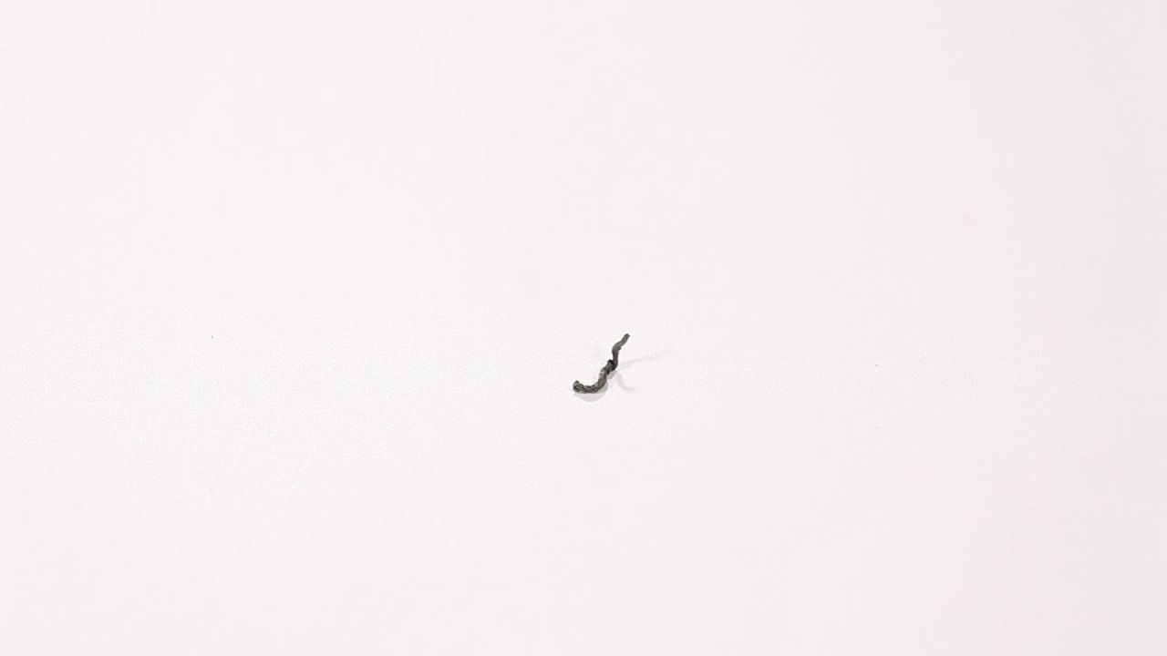 小苦茶空镜绞股蓝