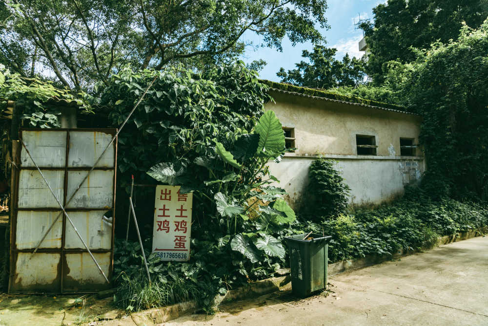 海边与田野