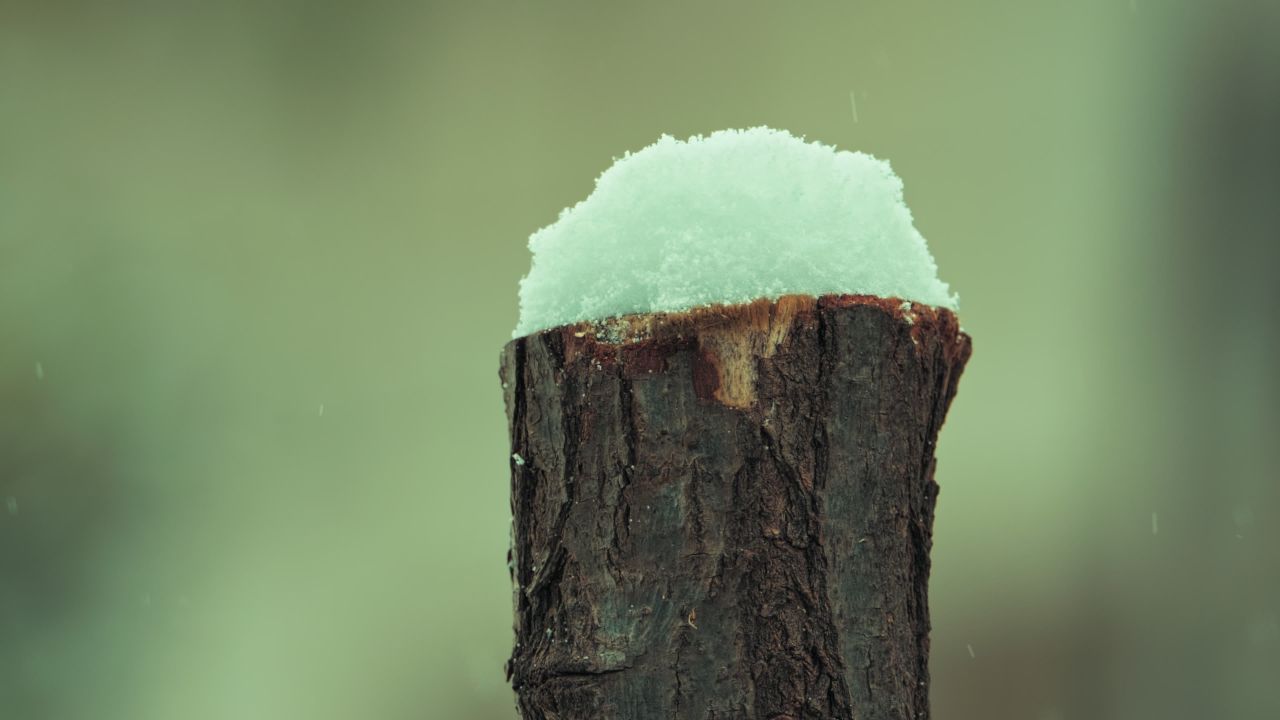 下雪慢镜头升格4K实拍空镜