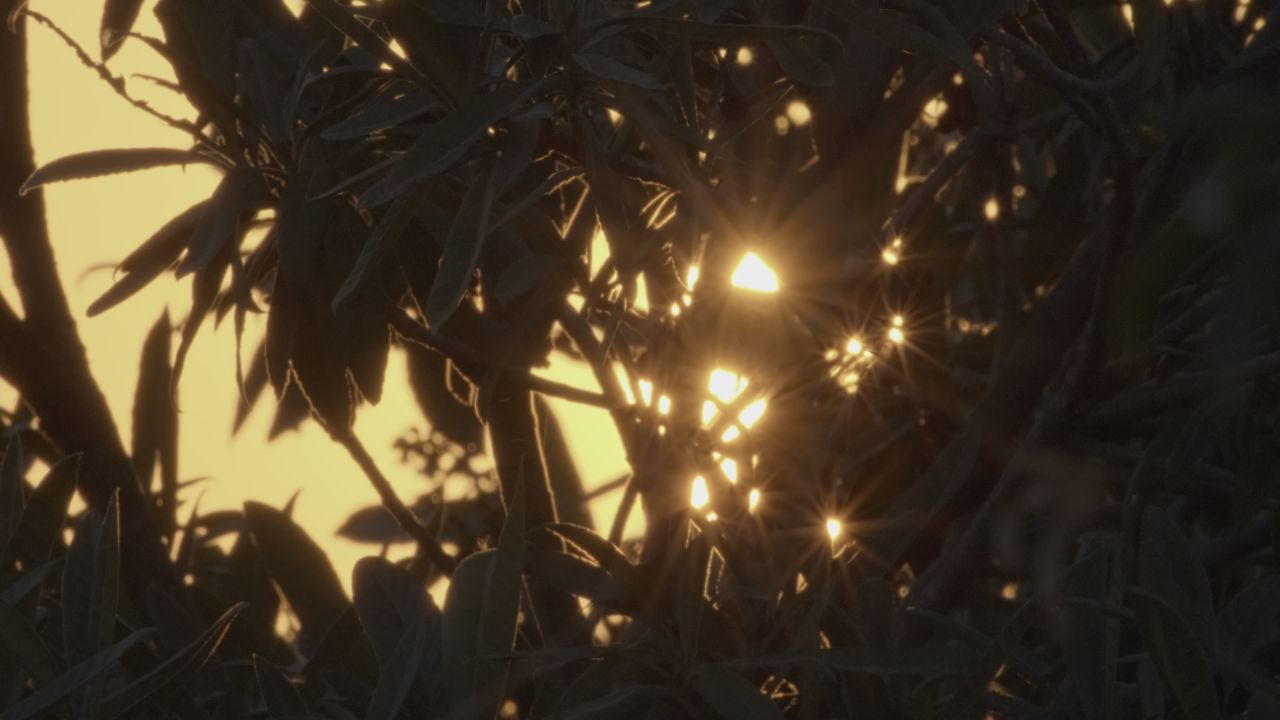 夕阳星芒升格4K实拍空镜