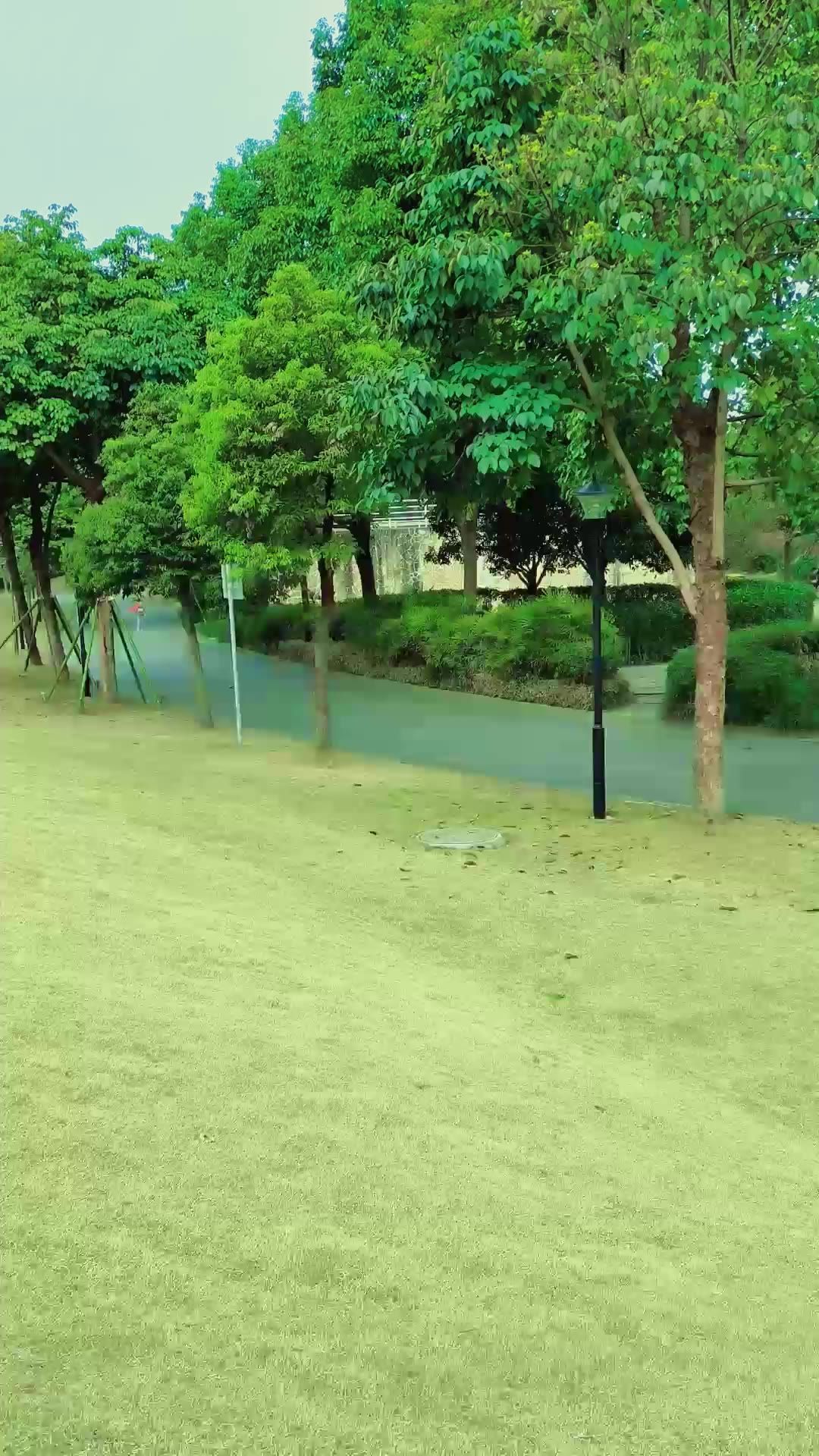 运动公园系列