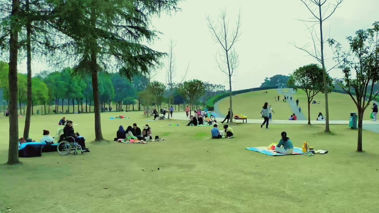 运动公园系列