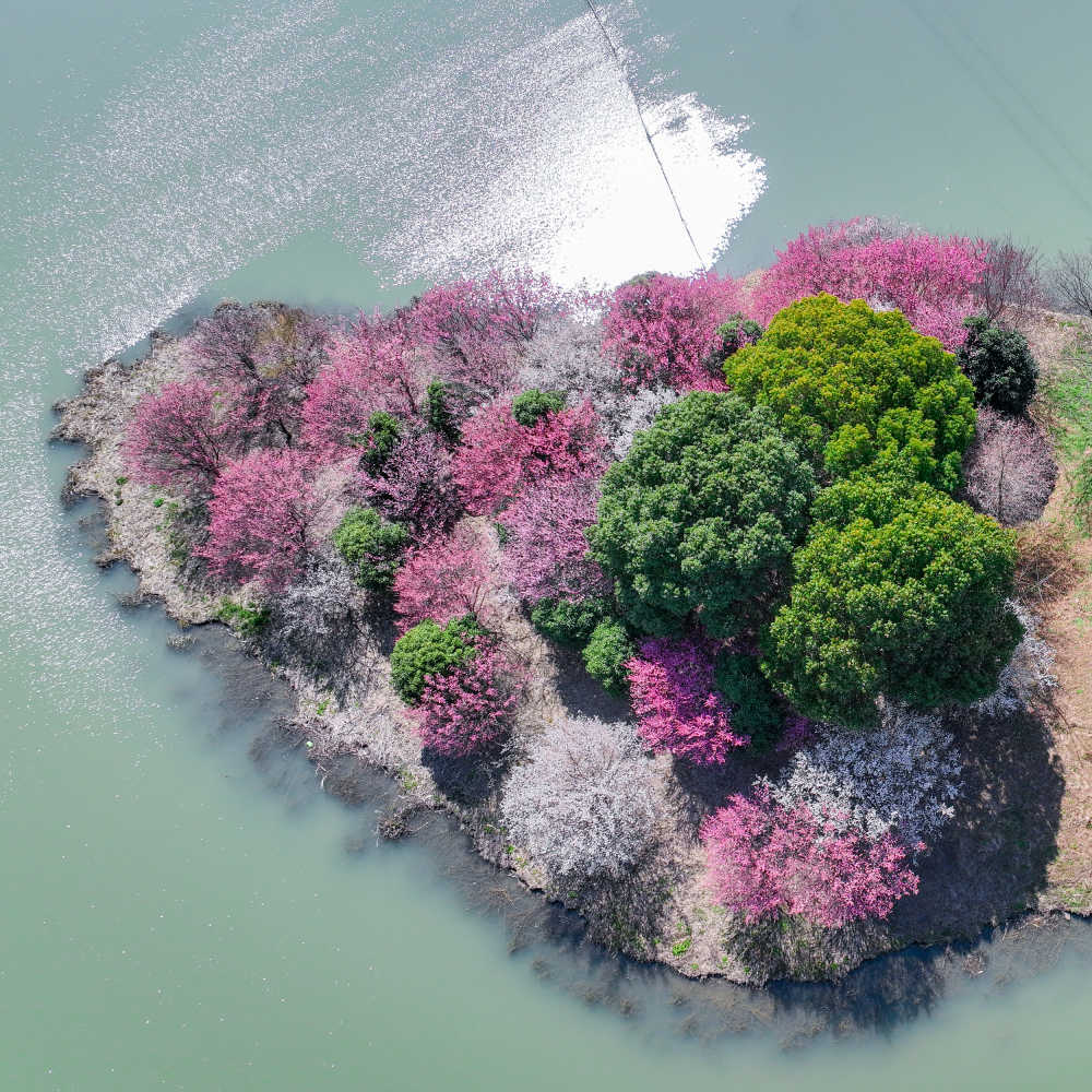 人工小岛