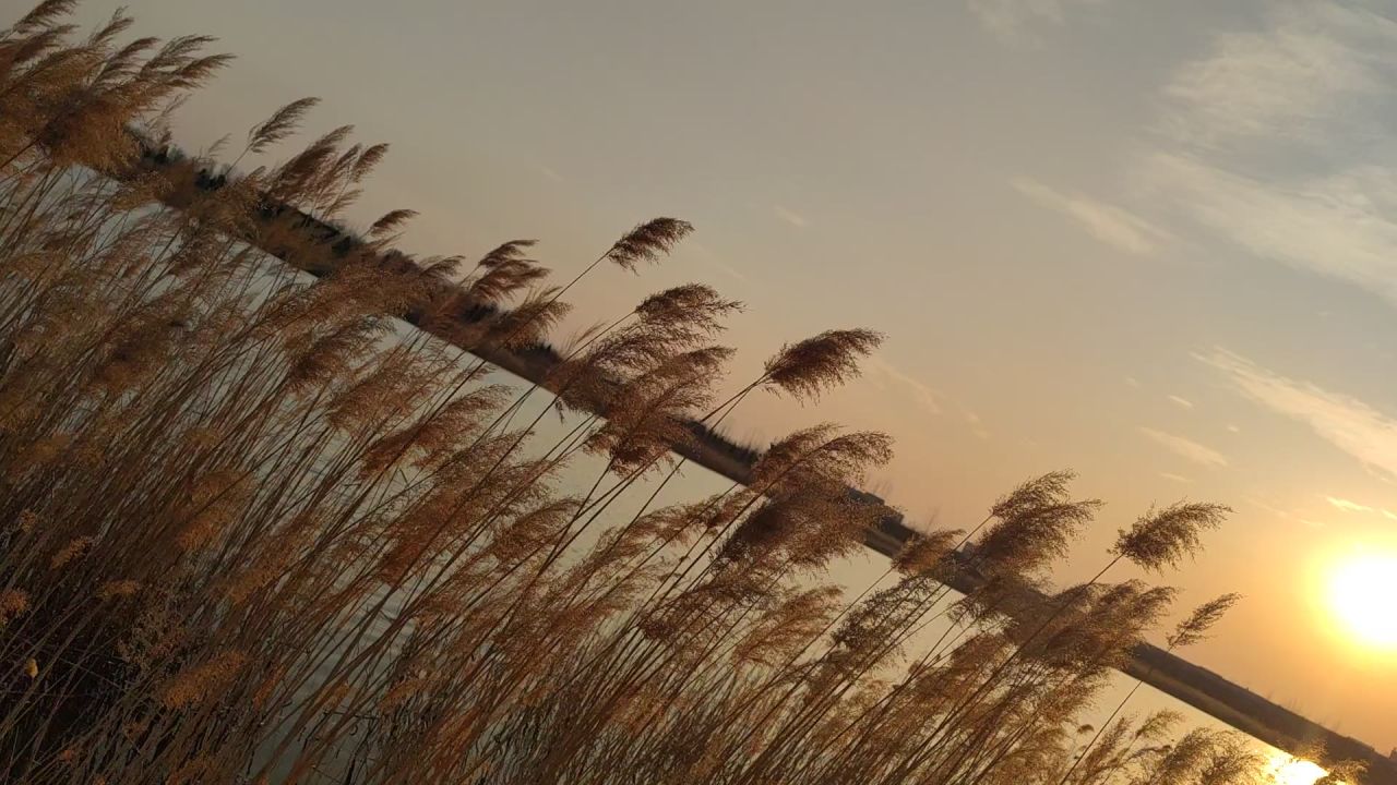 湖景夕阳