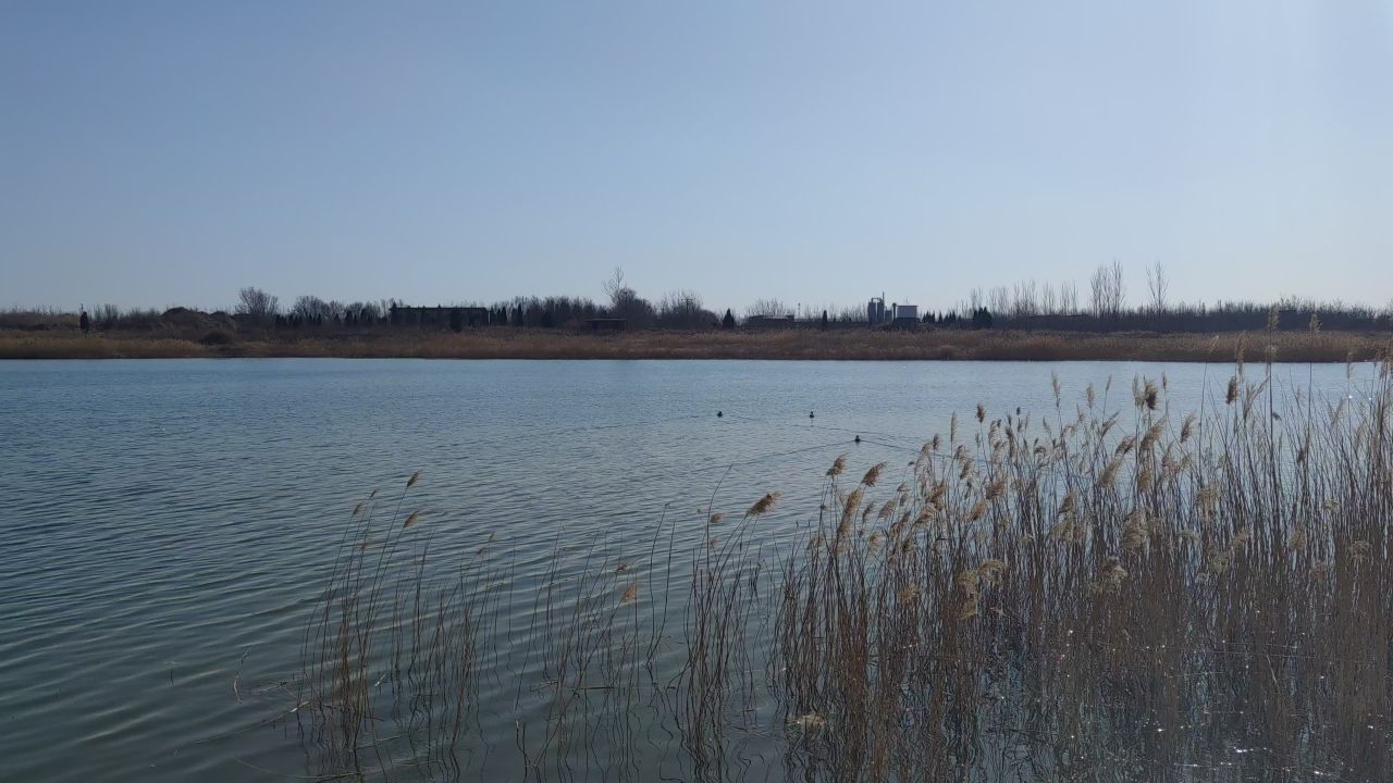 湖景