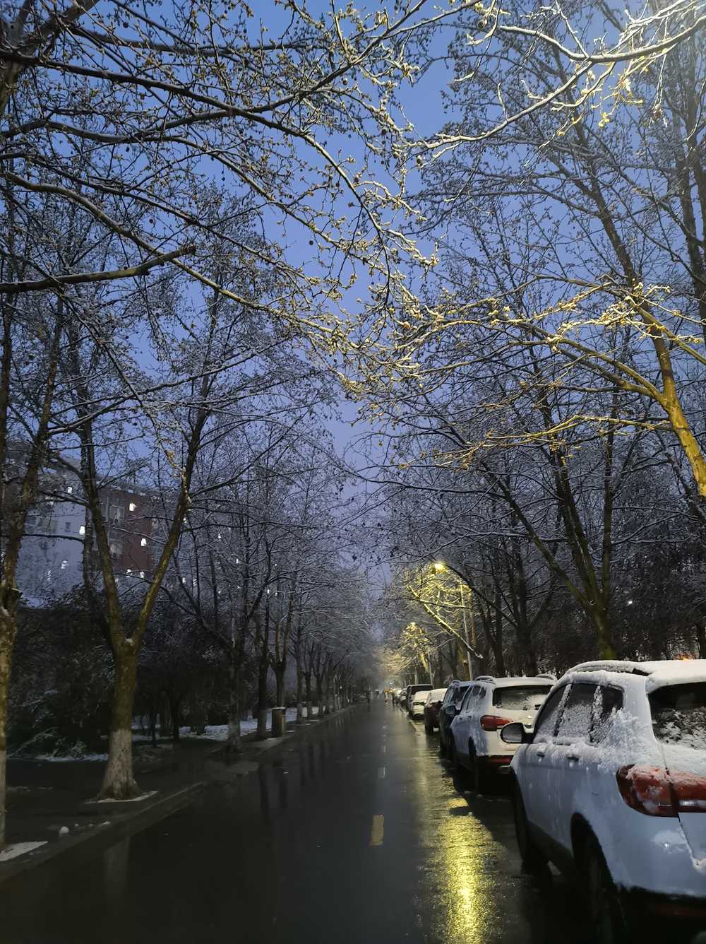雪